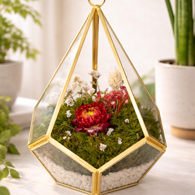 Terrário Eterno Geométrico