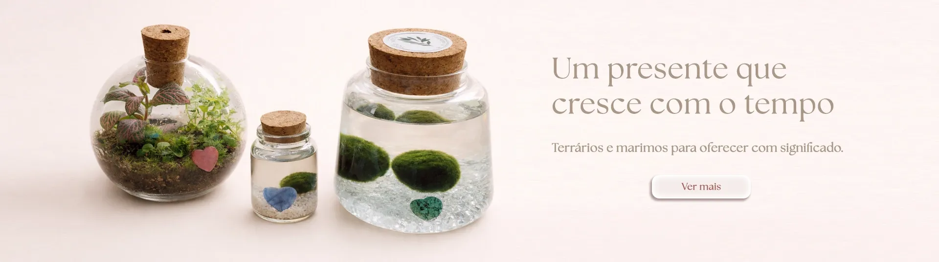 Um presente que cresce com o tempo